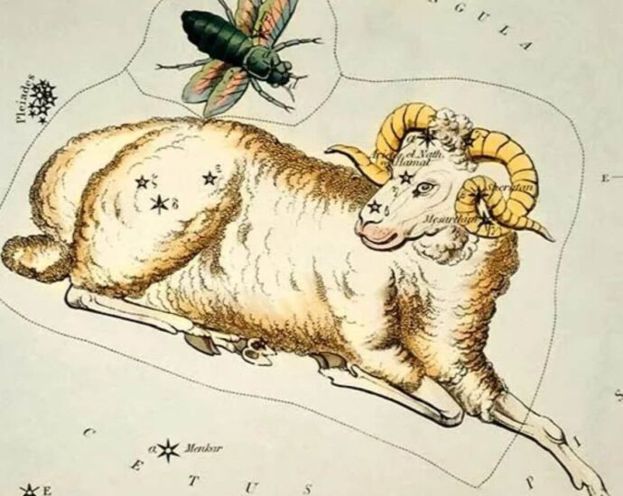 Всичко за Овен / Aries
