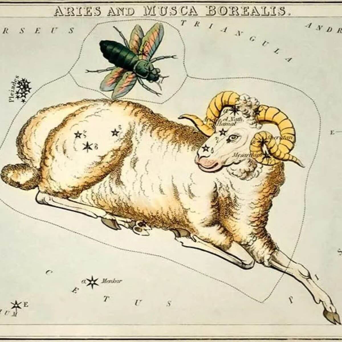 Всичко за Овен / Aries в астрологията - AstroScript