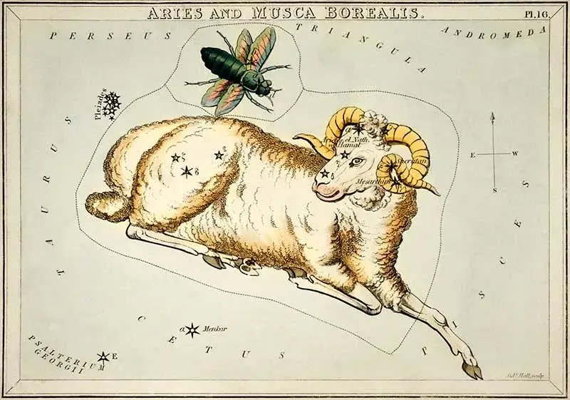 Всичко за Овен / Aries 1